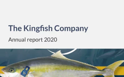 Business update and annual report 2020