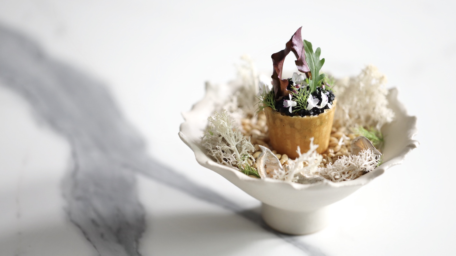 Tartare Croustade